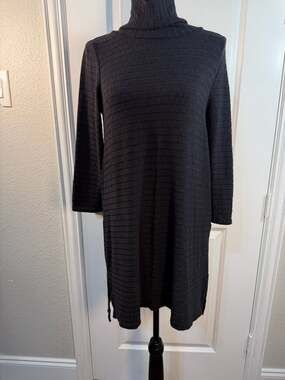 Puella Anthropologie Ribbed Turtleneck Long Sleeve Tunic Dress